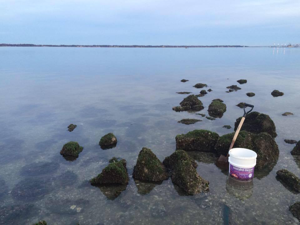 12743999_10205858309956980_3928703624970481169_n